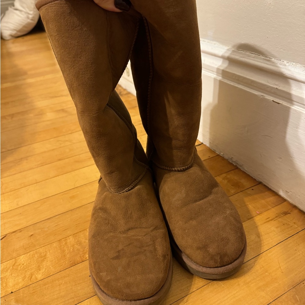 UGG Chestnut Boots